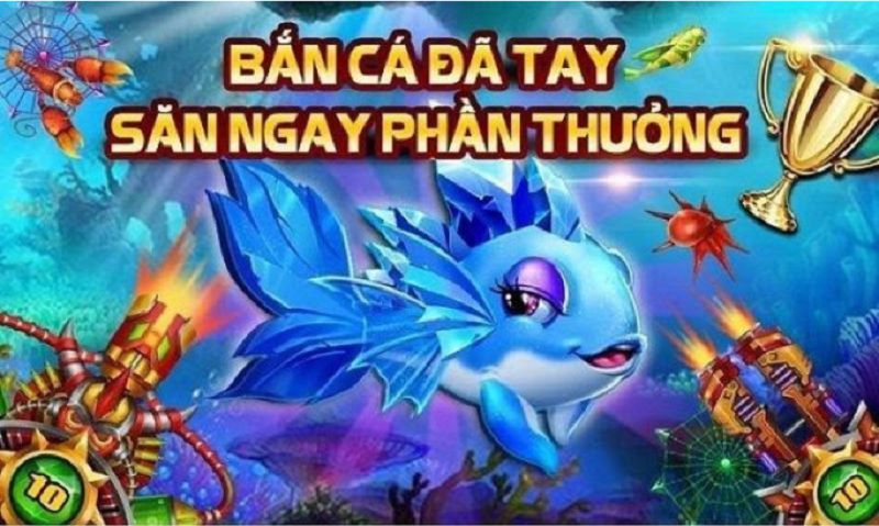 Cá bẹp tay săn phần thưởng ngay